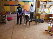 Bezpečný pes - kynologie